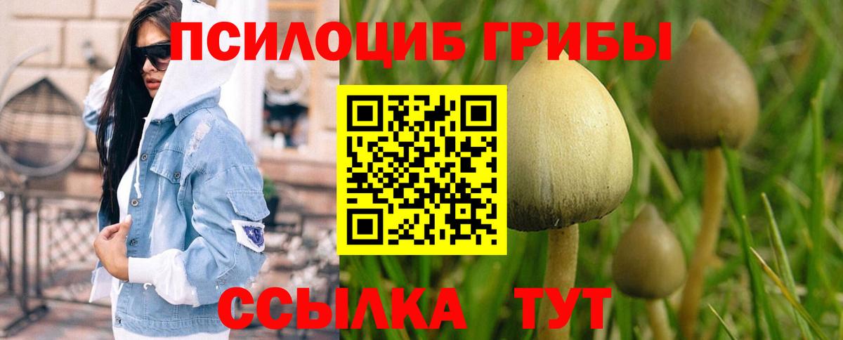 Псилоцибиновые грибы ЛСД Сарапул